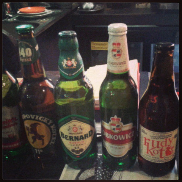 Do you know your Polish beers? One of these is not like the others.